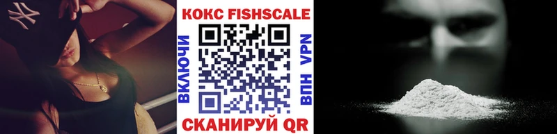 Купить закладки  Сорск  Cocaine Fish Scale 